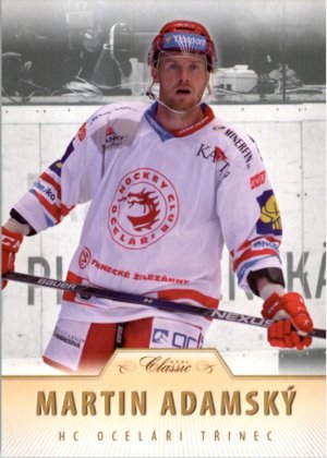 Hokejová karta Martin Adamský OFS 15/16 Série II. č.378