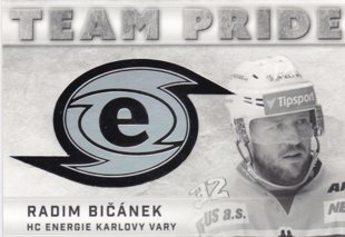 Hokejová karta Radim Bičánek  OFS 15/16 S.II. Team Pride