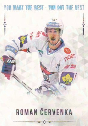 Hokejová karta Roman Červenka OFS 2018 YWB YGB Silver x/22