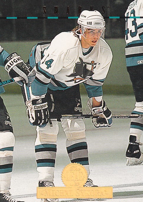 Hokejová karta Michal Sýkora Leaf 1994-95 řadová č. 122