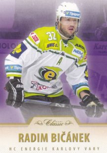 Hokejová karta Radim Bičánek OFS 15/16 S.I. Purple