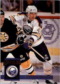 Hokejová karta Richard Šmehlík Donruss Leaf 1993-94 řadová č. 40