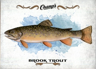 Hokejová karta Fish UD Champs 2015-16 Brook Trout č. F-12