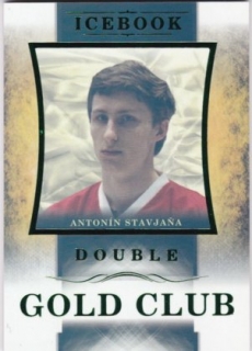 Hokejová karta Antonín Stavjaňa OFS Icebook Gold Club Green