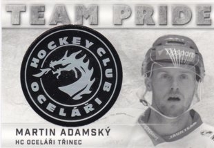 Hokejová karta Martin Adamský OFS 15/16 S.II. Team Pride