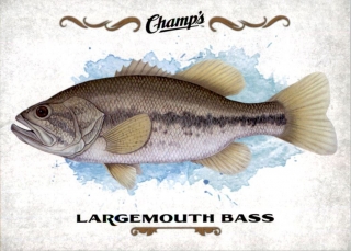 Hokejová karta Large Mouth Bass UD Champs 2015-16 Fish č. F-23