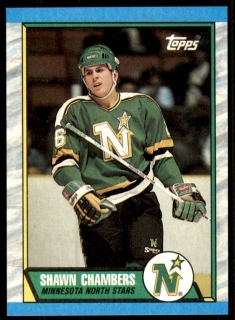 Hokejová karta Shawn Chambers Topps 1989-90 řadová č. 142