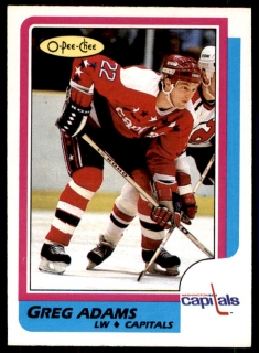 Hokejová karta Greg Adams O-Pee-Chee 1986-87 řadová č. 253