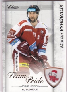 Hokejová karta Martin Vyrůbalík OFS 17/18 S.I. Team Pride 
