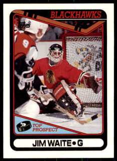 Hokejová karta Jim Waite Topps 1990-91 řadová č. 214