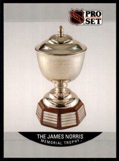 Hokejová karta Ray Bourque Pro Set 1990-91 James N. Trophy č. 384