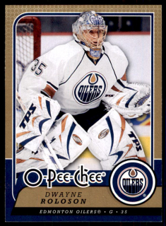 Hokejová karta Dwayne Roloson OPC 2008-09 řadová č.66