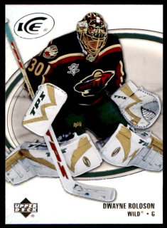 Hokejová karta Dwayne Roloson UD Ice 2005-06 řadová č.48