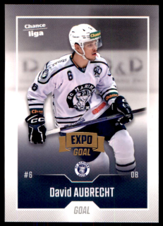 Hokejová karta David Aubrecht Goal 2022-23 Expo řadová č. 118
