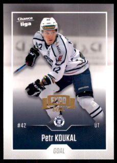 Hokejová karta Petr Koukal Goal 2022-23 Expo řadová č. 125