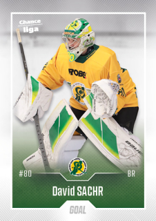 Hokejová karta David Sachr Goal S1 2022-23 řadová č. 17