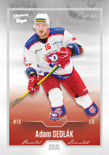 Hokejová karta Adam Sedlák Goal S1 2022-23 Silver 1 of 60 č. 159