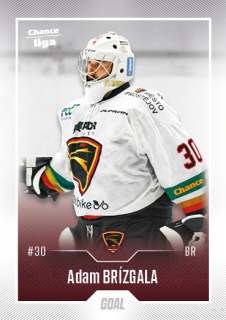 Hokejová karta Adam Brízgala Goal S2 2022-23 řadová č. 245