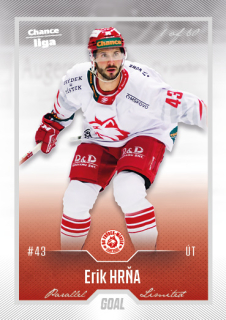 Hokejová karta Erik Hrňa Goal Cards 2022-23 Série 2 Silver karta č.342
