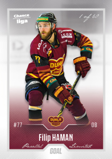 Hokejová karta Filip Haman Goal Cards 2022-23 Série 2 Silver karta č.206