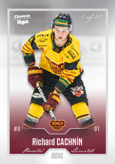 Hokejová karta Richard Cachnín Goal Cards 2022-23 Série 2 Silver karta č.208