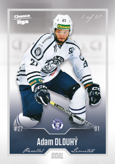 Hokejová karta Adam Dlouhý Goal Cards 2022-23 Série 2 Silver karta č.325