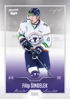 Hokejová karta Filip Šindelek Goal Cards 2022-23 Série 2 Silver karta č.263