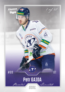 Hokejová karta Petr Gajda Goal Cards 2022-23 Série 2 Silver karta č.272