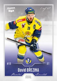 Hokejová karta David Březina Goal Cards 2022-23 Série 2 Silver karta č.297