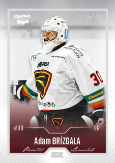 Hokejová karta Adam Brízgala Goal Cards 2022-23 Série 2 Silver karta č.245