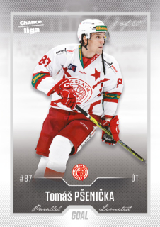 Hokejová karta Tomáš Pšenička Goal Cards 2022-23 Série 2 Silver karta č.314