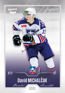 Hokejová karta David Michalčuk Goal Cards 2022-23 Série 2 Silver karta č.284