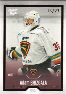 Hokejová karta Adam Brízgala Goal Cards 2022-23 Série 2 Gold č.245