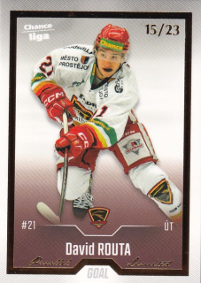 Hokejová karta David Routa Goal Cards 2022-23 Série 2 Gold č.255