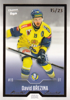 Hokejová karta David Březina Goal Cards 2022-23 Série 2 Gold č.297