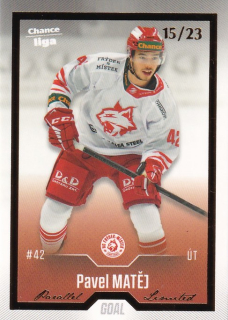 Hokejová karta Pavel Matěj Cards 2022-23 Série 2 Gold č.341