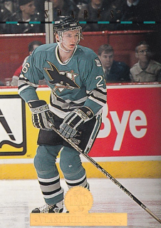 Hokejová karta Vlastimil Kroupa Leaf 1994-95 řadová č. 265