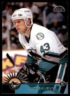 Hokejová karta Jan Čaloun Donruss Leaf 1995-96 Rookie č. 217