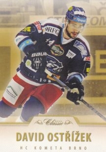 Hokejová karta David Ostřížek OFS 2015-16 Série 1 Hobby