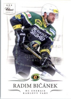 hokejová karta Radim Bičánek OFS 14/15 Glacier S.II